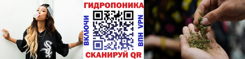где купить   Минусинск  Шишки марихуана SATIVA & INDICA 